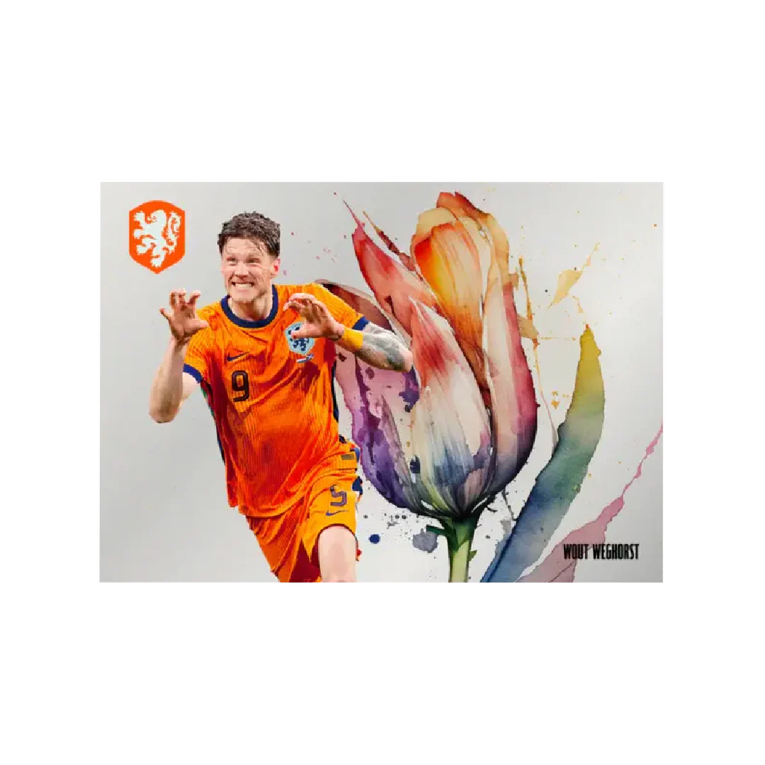 DAKA Netherlands 2024 Premium Hobby Box - Image 8