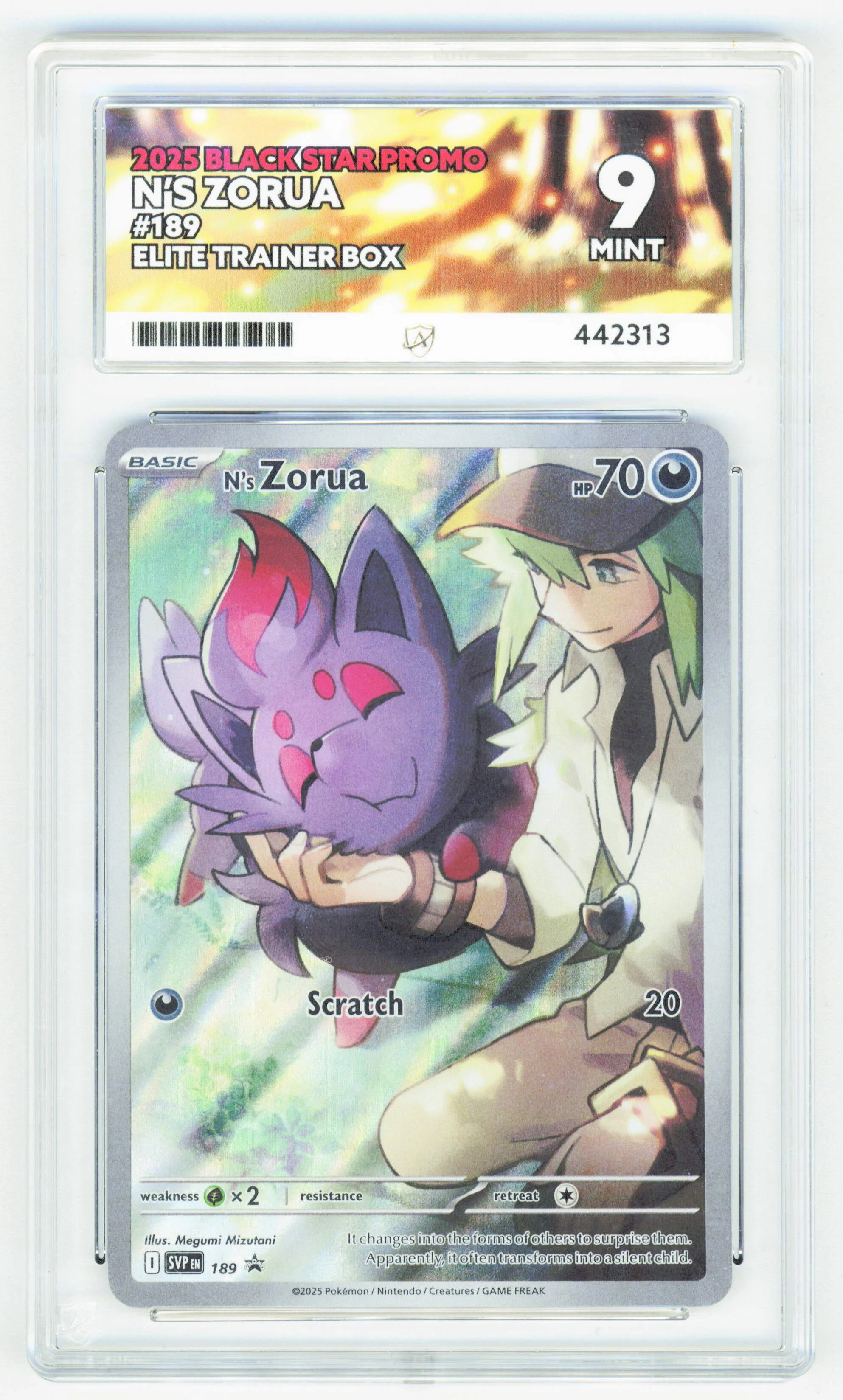 Pokemon N's Zorua 189 Full Art 2025 Black Star Promo ACE 9