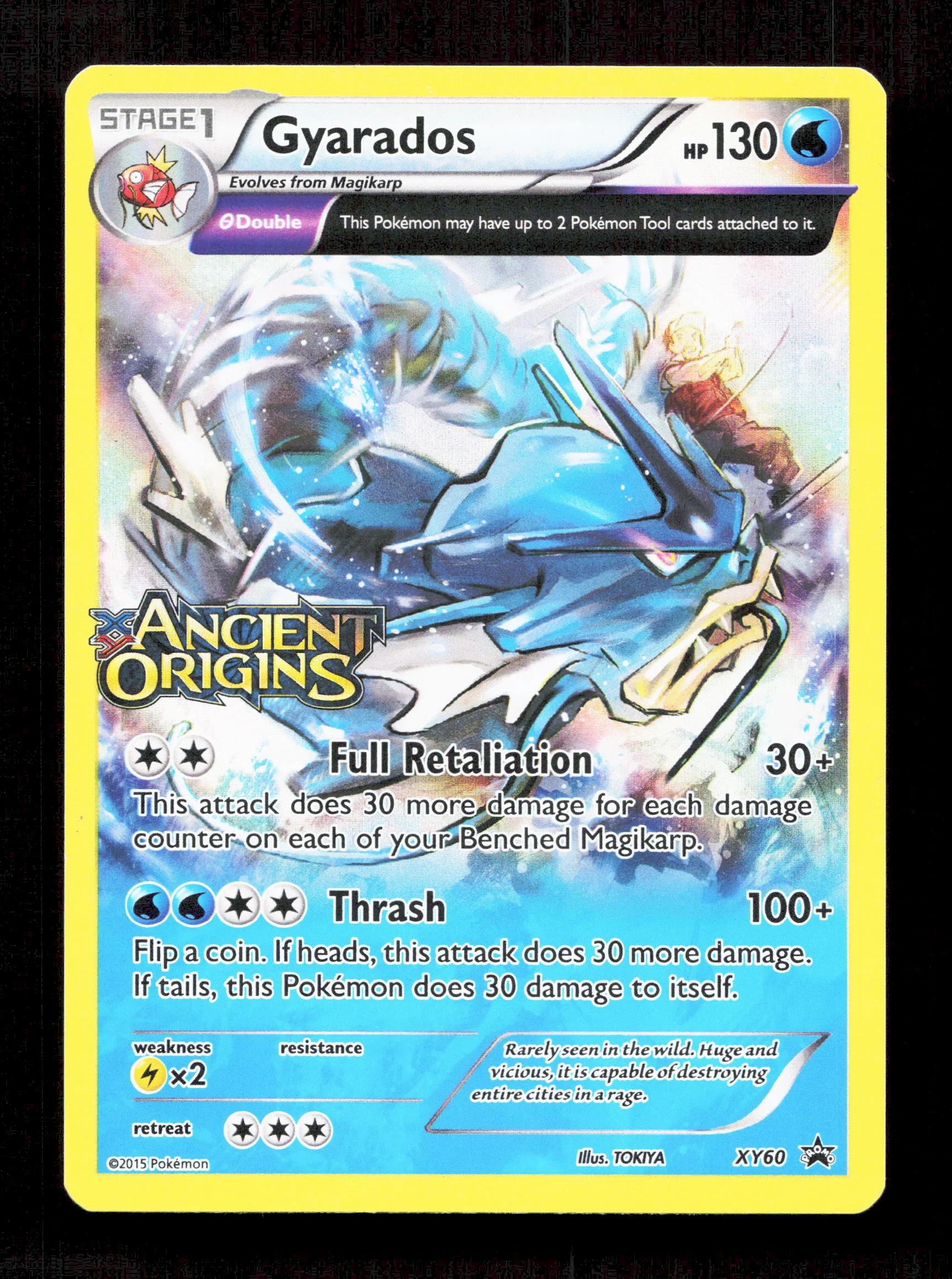 Pokemon Gyarados Holo Stamped XY60 2015 Black Star Promo